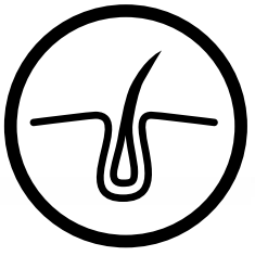 Icon IPL