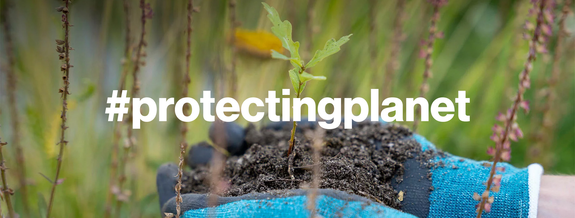 Protecting Planet Banner