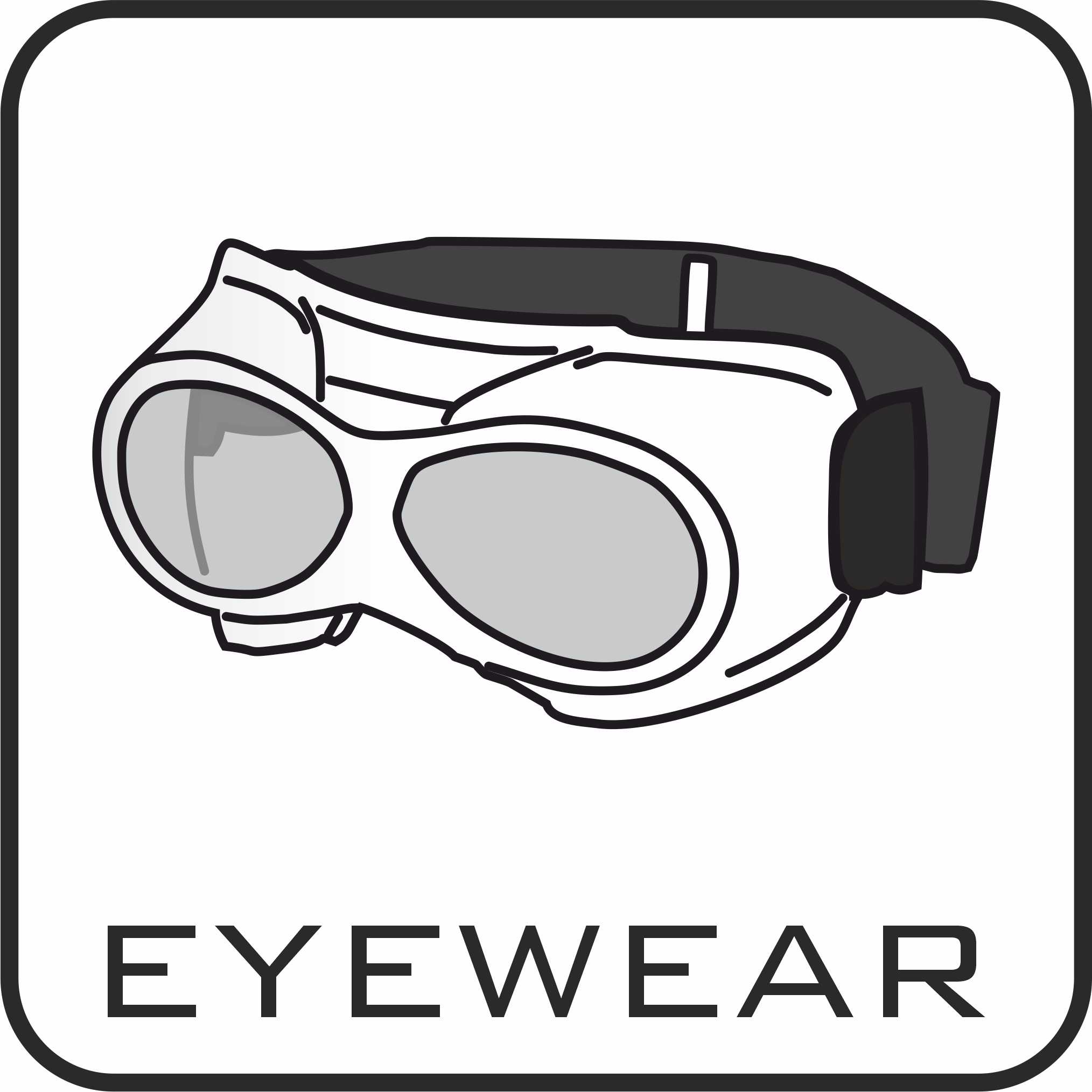 eyewear icon