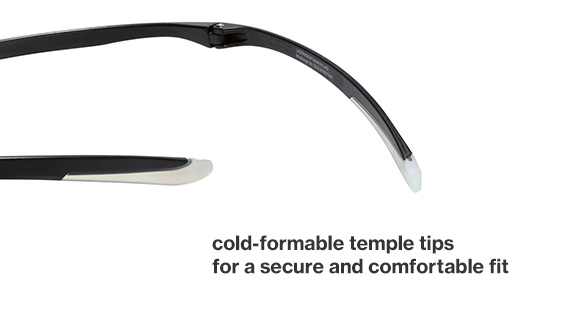 F22 Feature Temple Tips